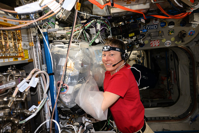 Astronaut Tracy C. Dyson works in the BioFabrication Facility