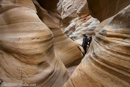 Another set of narrows in Round Valley Draw, Grand Staircase-Escalante National Monument, Utah