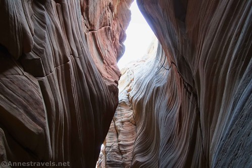 Looking up in an especially stripy section of Round Valley Draw, Grand Staircase-Escalante National Monument, Utah
