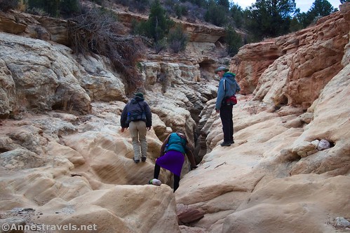 Looking at the descent into the narrows of Round Valley Draw, Grand Staircase-Escalante National Monument, Utah