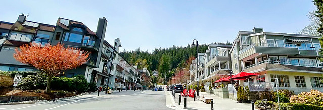 Deep Cove Village & Main Street