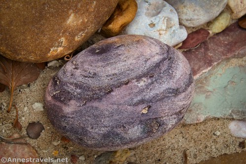 An interesting purple rock in Round Valley Draw, Grand Staircase-Escalante National Monument, Utah