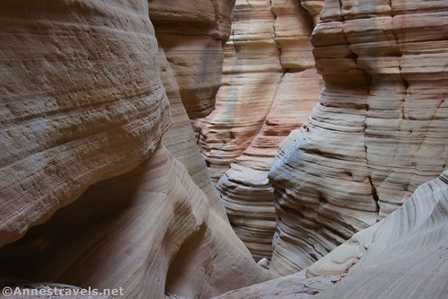 Standing at the top of a small dryfall in the canyon of Round Valley Draw, Grand Staircase-Escalante National Monument, Utah