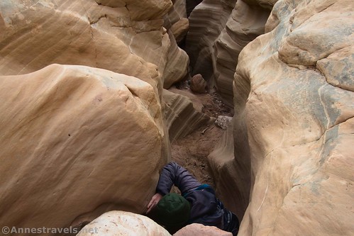 The free-climber in my group at the drop into the narrows of Round Valley Draw, Grand Staircase-Escalante National Monument, Utah