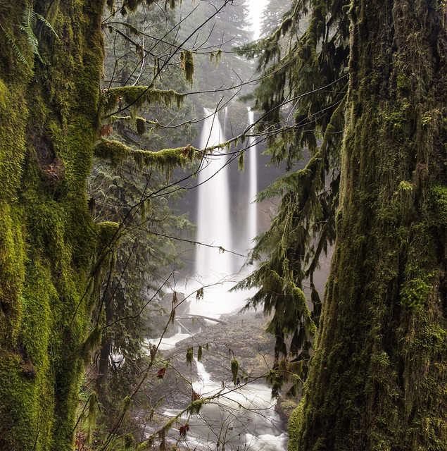Waterfall at Silver Falls State Park