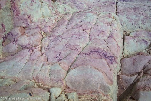 A purple swirl in the rocks of the first dryfall of Round Valley Draw, Grand Staircase-Escalante National Monument, Utah
