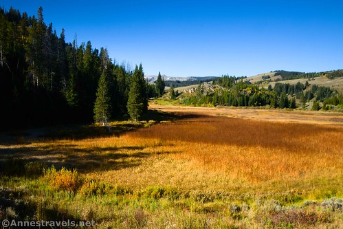 A few last views of the meadows while I headed up toward Snow Pass on the Terrace Mountain Loop, Yellowstone National Park, Wyoming