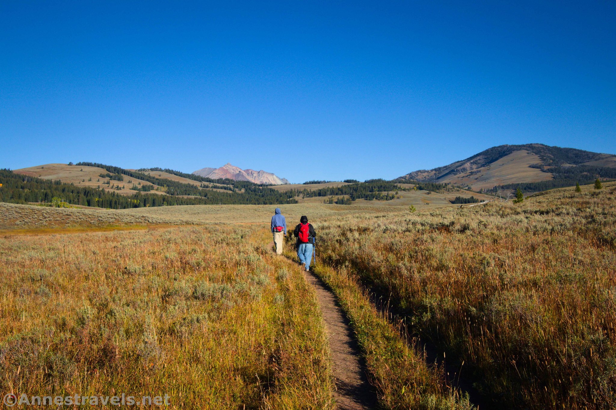 Hiking the meadow section of the Terrace Mountain Loop, Yellowstone National Park, Wyoming