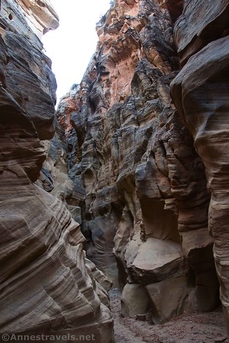 An especially jagged section of Round Valley Draw, Grand Staircase-Escalante National Monument, Utah