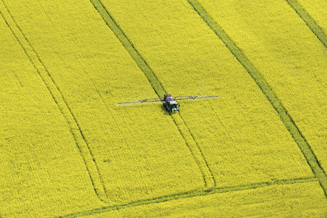 Rapeseed Oil crop spraying aerial image