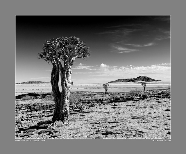 Namibian Desert, 2 April, 2024.