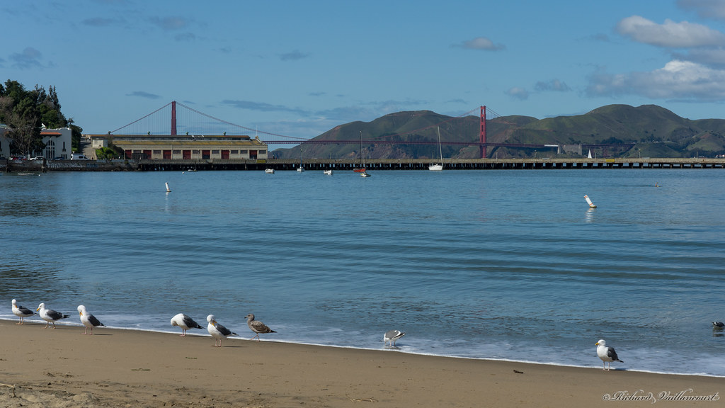 Golden Gate Beach - San Francisco - CA - USA - 06105