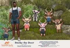 Aardvark - Bucky the Deer @ ｅｑｕａｌ１０