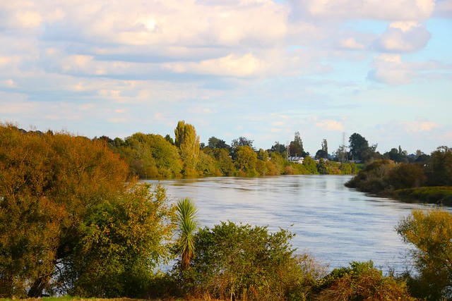 Autumn on the Waikato River