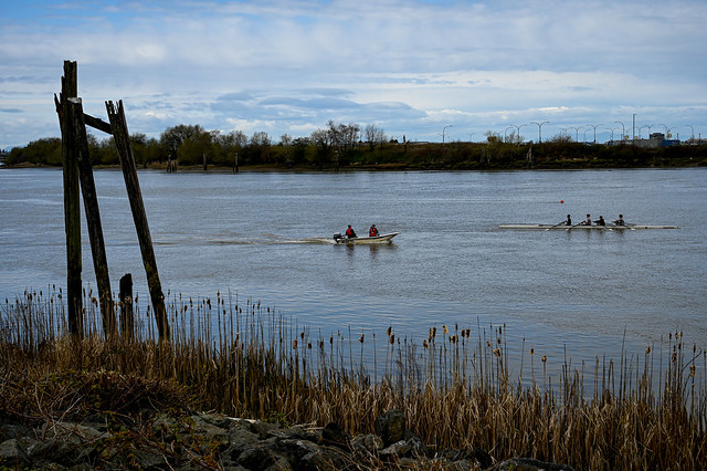 Rowing on Fraser