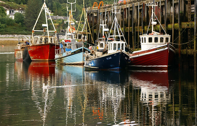 FISHERBOATS REFLECTIONS