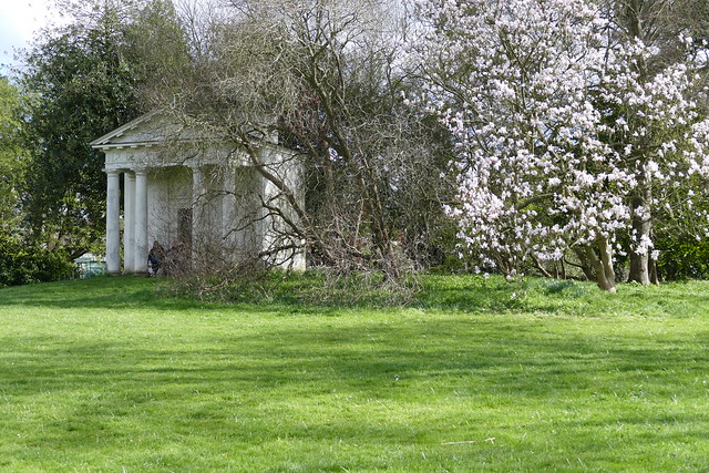 Temple and Blossom