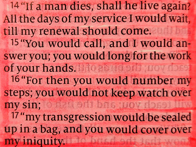 Job 14: 14 - 17