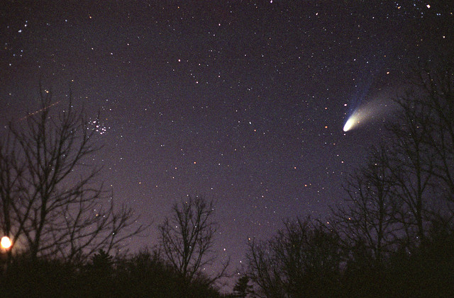 Comet Hale-Bopp (C/1995 O1) Over Forest