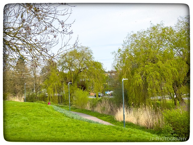 Todays walk around Aberford Park. #Spring #parks  #AberfordPark #Hertfordshire