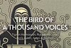 Foto The bird of a thousand voices