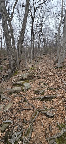 Sleeping Giant State Park - Yellow Trail 
