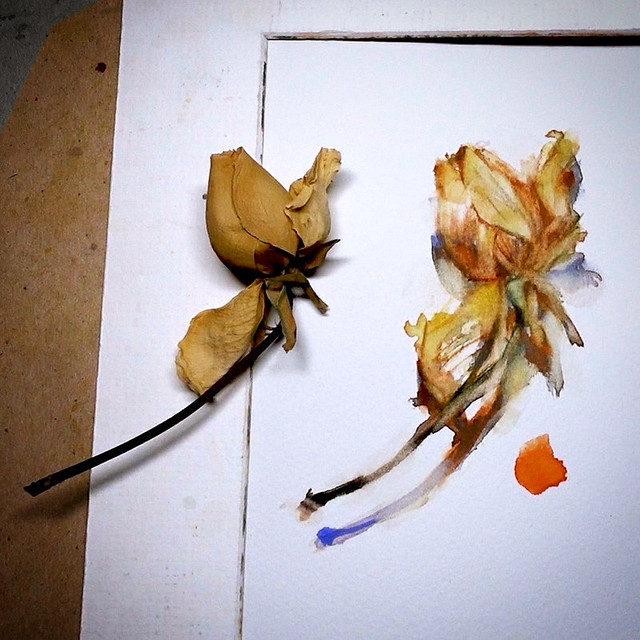 Day 3170. The process of daily rose painting for today.