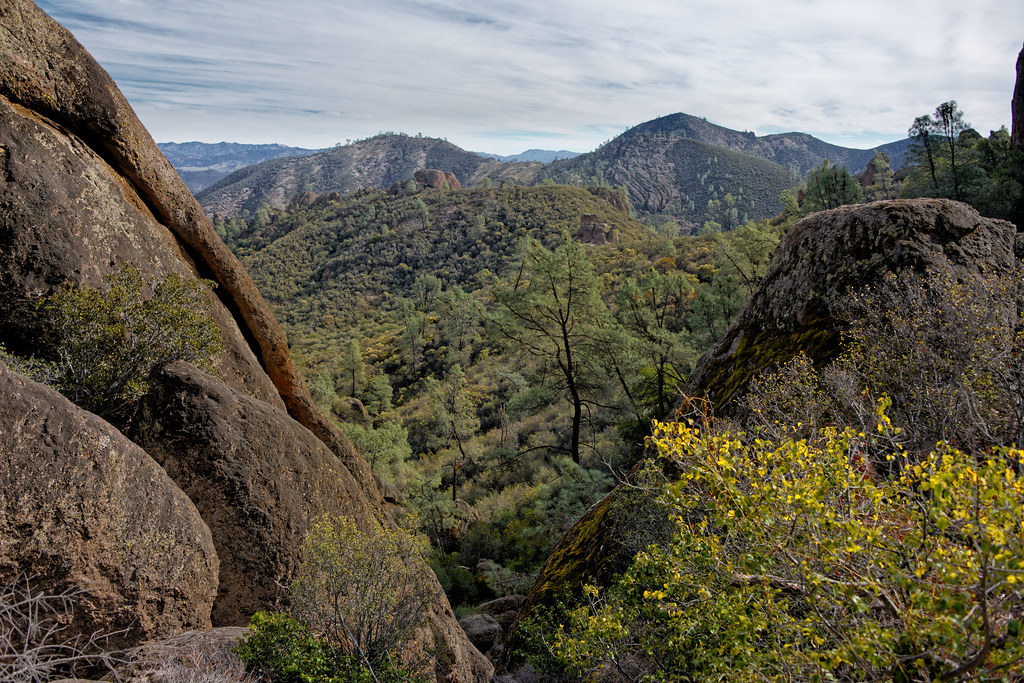 Living a Tradition of Solitude as I Walk in Pinnacles National Park