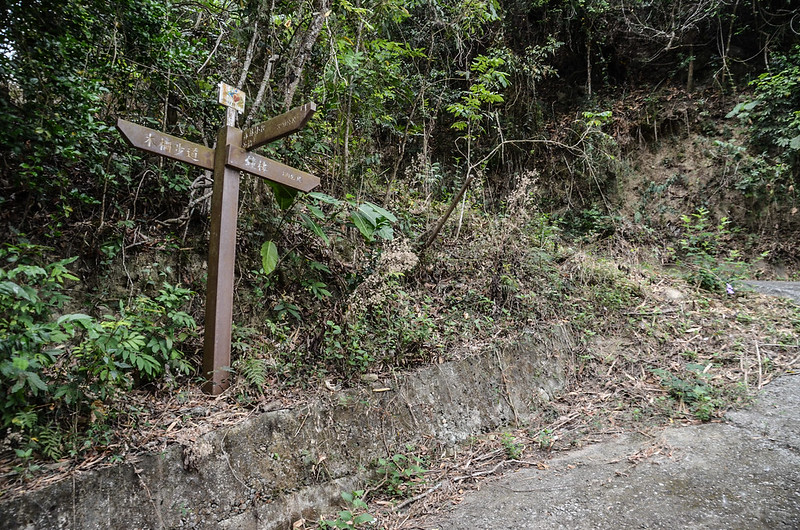 鐘樓森林步道接產道