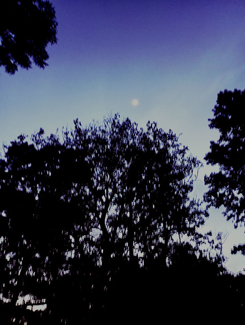 Purple sky shine moon