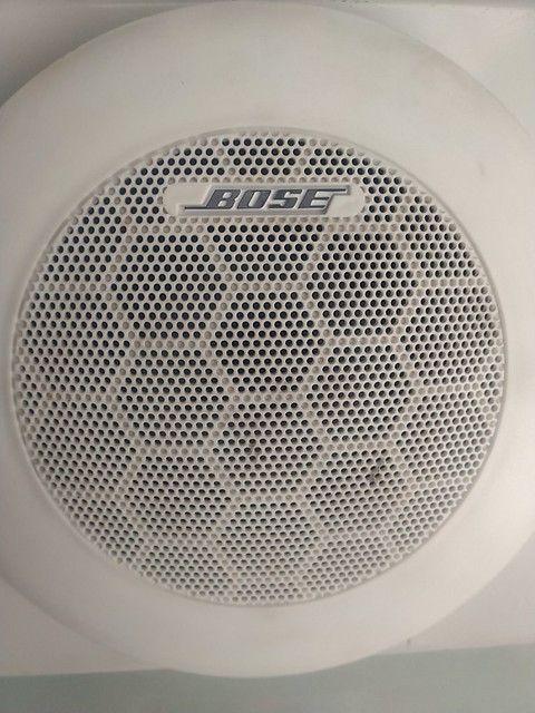 Only the Bose nose
