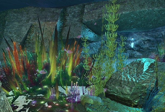 14 Unterwasserwelt