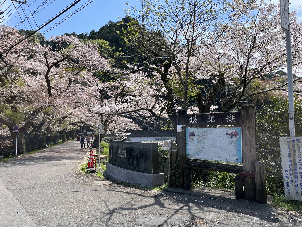 【奥武蔵】鎌北湖 満開の桜咲く 春のハイキング
