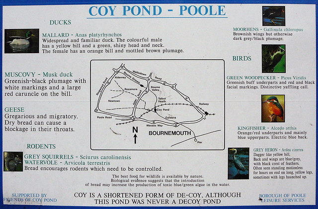 Coy Pond map