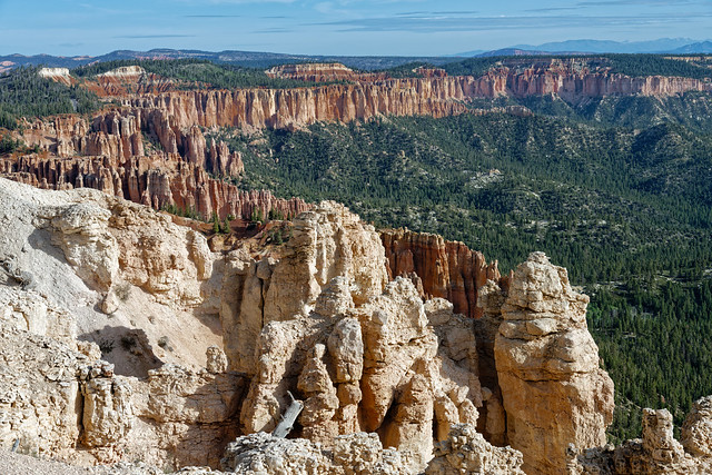 Hoodoos Stretching As Far As the Eye Could See (Bryce Canyon  National Park)