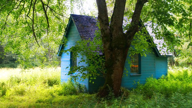 tiny blue house