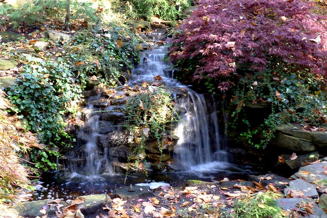 Waterfall at Cleveland Botanical Garden
