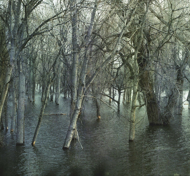 floodwaters 6