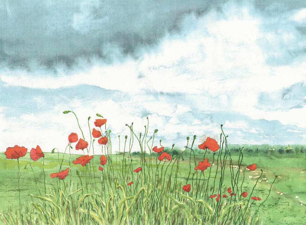Poppies 1995