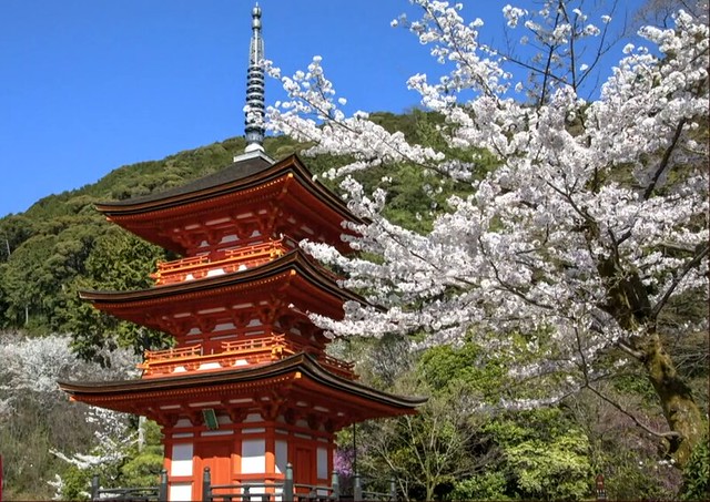 Kiyomizu-dera Temple-Kyoto-Japan
