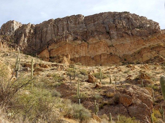 Walls in Redfield Canyon, E of Redington, AZ
