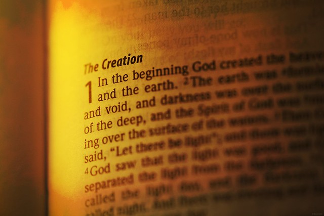 The Creation In The Holy Bible Book