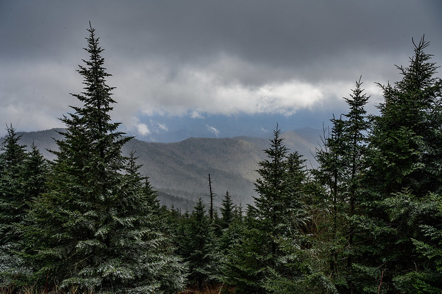 Scenery from Clingman's Dome Lookout