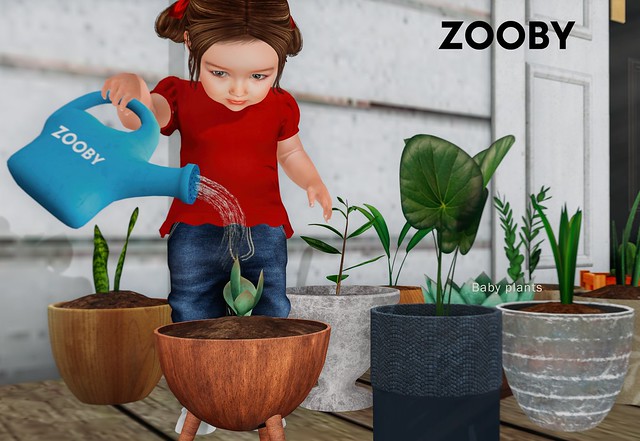 Zooby Baby plants