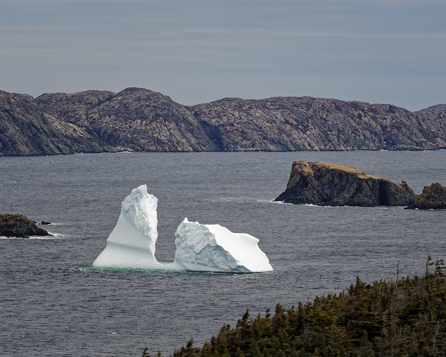Iceberg season