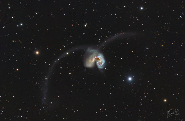 NGC 4038, NGC 4039 - Antennae Galaxies LRGB