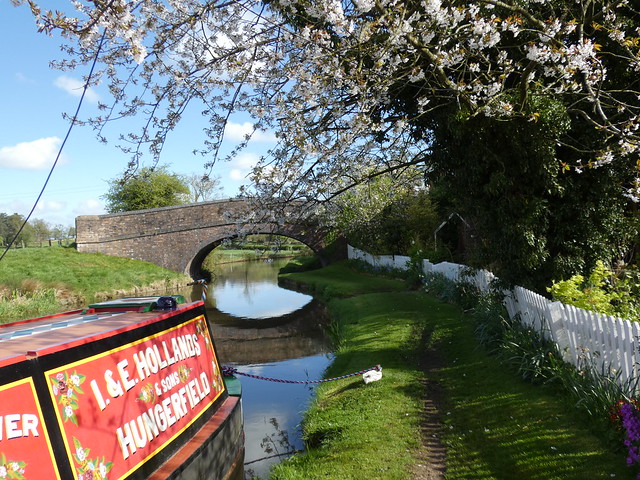 Oxford Canal near Brinklow, Warwickshire, 14 April 2024