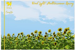 Mediterranean Spring Wind Light @ Gift for Cosmopolitan