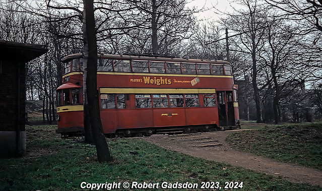 1959 – Tram Stop in the Woods..