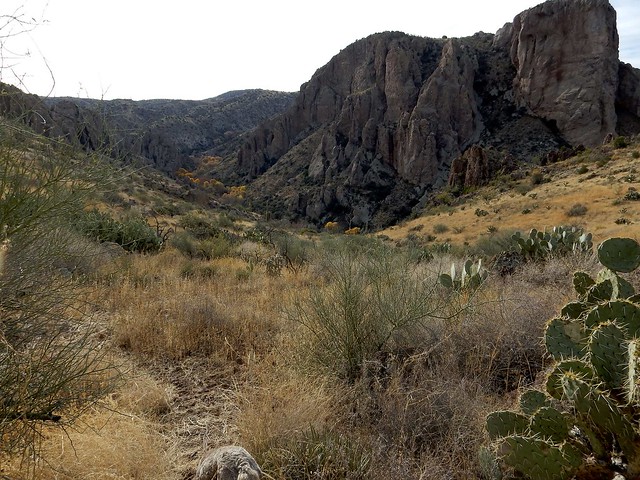 Trail to Logan House in Redfield Canyon, E of Redington, AZ